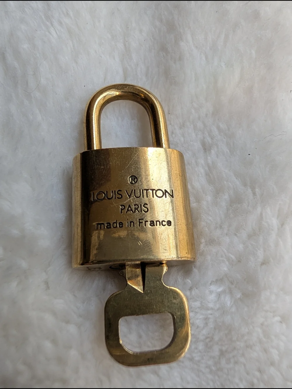 Louis Vuitton authentic louis